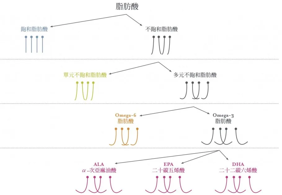 减脂该吃这些油(减肥一般吃什么油好)